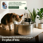 FONTAINE EN INOX - 2.2 LITRES